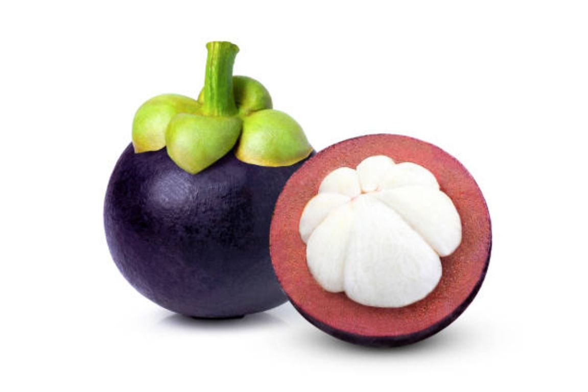Mangosteen