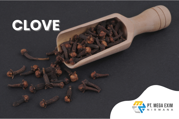 PT MEGA EXIM NIRWANA'S PRODUCTS (2)