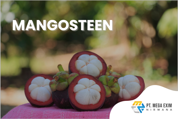 PT MEGA EXIM NIRWANA'S PRODUCTS (5)