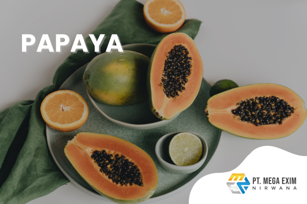 PT MEGA EXIM NIRWANA'S PRODUCTS (6)