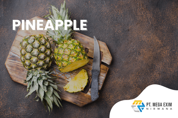 PT MEGA EXIM NIRWANA'S PRODUCTS (7)