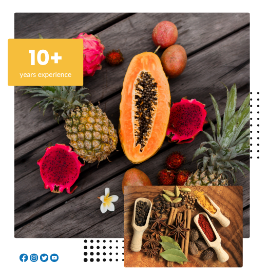 about pt mega exim nirwana