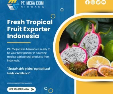 pt mega exim nirwaana's blog (1)