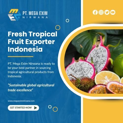 pt mega exim nirwaana's blog (1)