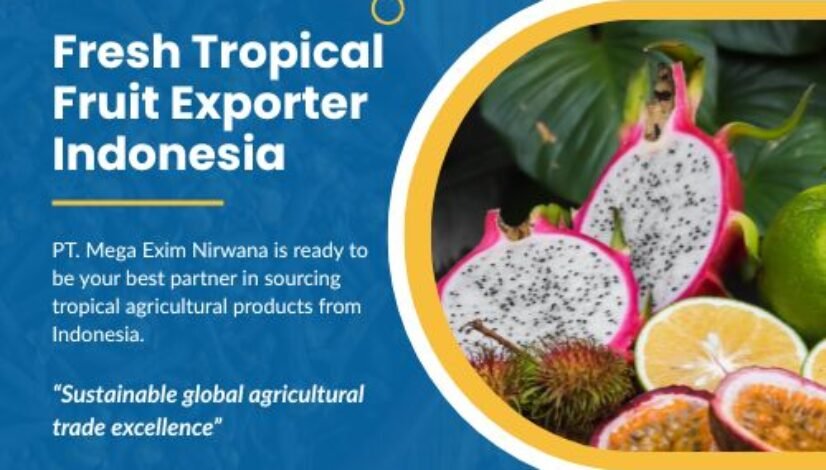 pt mega exim nirwaana's blog (1)