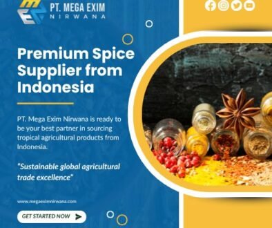 pt mega exim nirwaana's blog (2)