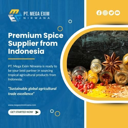 pt mega exim nirwaana's blog (2)