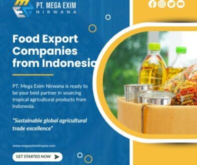 pt mega exim nirwaana's blog (3)